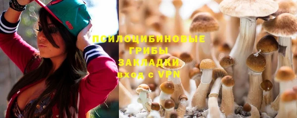 СК Абаза