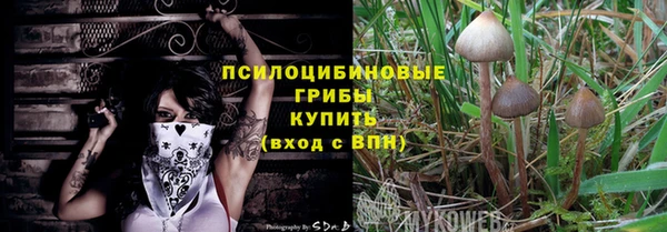 спайс Алексеевка
