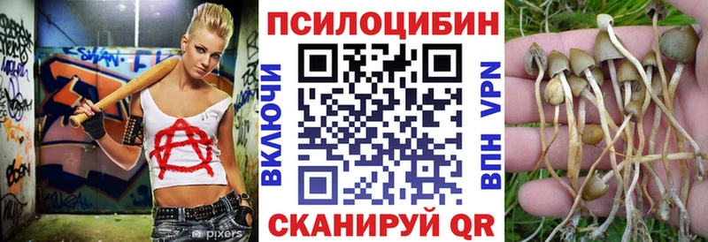 мега зеркало  Новотитаровская  Псилоцибиновые грибы GOLDEN TEACHER 